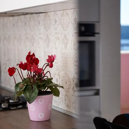 Appartement Tomi *